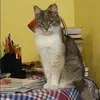 Отзыв от Екатерина Боброва